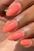 SHERBET JELLY NAIL POLISH